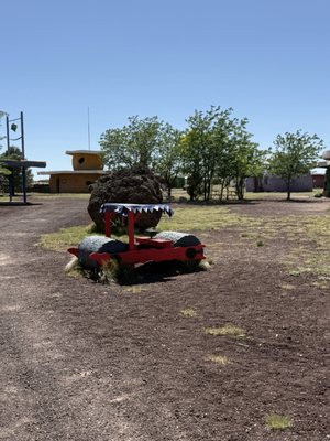 Raptor Ranch by null