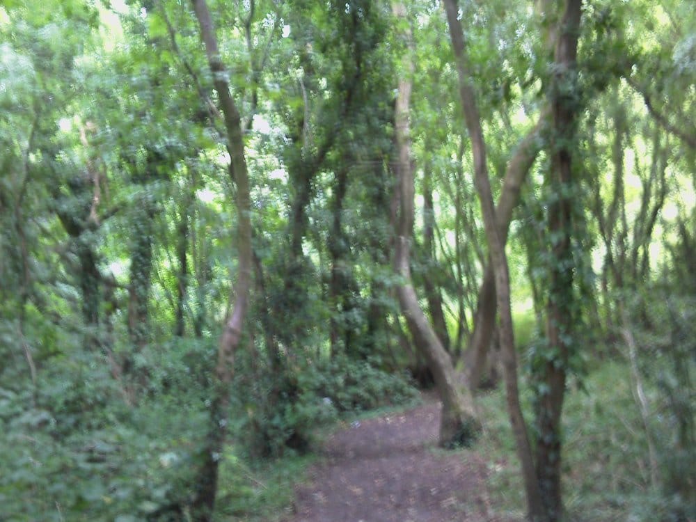 THE LOWFIELDS Updated March 2024 Eastham Rake, Wirral, Merseyside