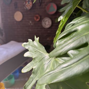 Sankara Wholistic Wellness - Massage Therapy Near Me - Richmond, Virginia Sankara Wholistic Wellness - Massage Therapy Near Me - Richmond, Virginia