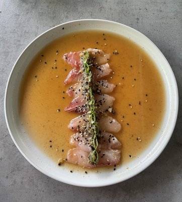 Sur Barra Nikkei by null