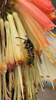 Botanical Garden by null Botanical Garden by null