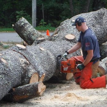 Certified Tree Care - Quality Tree Trimming and Removal Service in Olathe - Tree Services Near Me - Lenexa, Kansas Certified Tree Care - Quality Tree Trimming and Removal Service in Olathe - Tree Services Near Me - Lenexa, Kansas