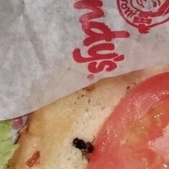 Wendy's - a sandwich with tomatoes and lettuce - Fast Food Near Me - Athens, Georgia Wendy's - a sandwich with tomatoes and lettuce - Fast Food Near Me - Athens, Georgia
