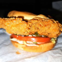 Burger Boy - Chicken Sandwich!