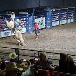 Grand National Rodeo Horse & Stock Show - Bull riding