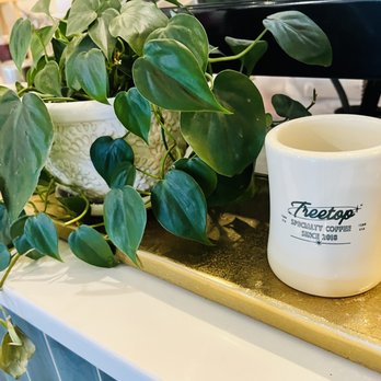 Treetop Coffee Shop - Coffee & Tea Near Me - Knoxville, Tennessee Treetop Coffee Shop - Coffee & Tea Near Me - Knoxville, Tennessee
