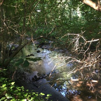 Chesapeake Arboretum - Water areas - Parks Near Me - Chesapeake, Virginia