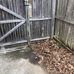 Main-Care Energy - Main care oil delivery person came into our yard and peed on our concrete walk way. splatter mark is his pee. reported to the town police.