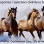 Photo of Supreme Insurance Services