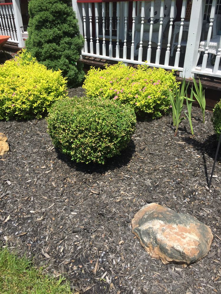 MARK’S COUNTRY STORE Updated September 2024 254 W Main St