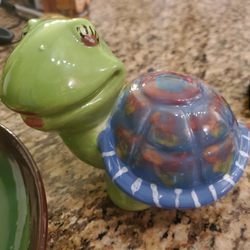 Paint Fusion - Finished product was shipped - turtle