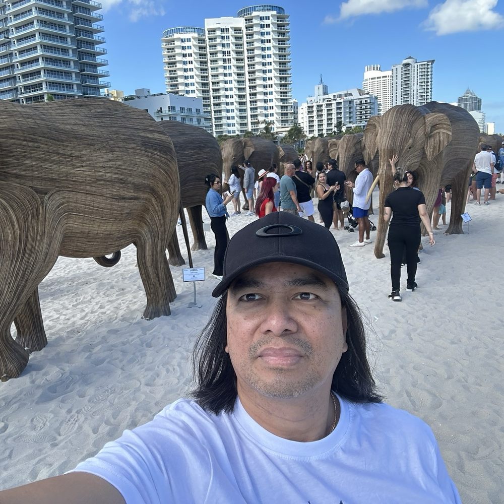 Miami Beach - Elephant Migration Exhibit - Beaches Near Me - Miami Beach, Florida Miami Beach - Elephant Migration Exhibit - Beaches Near Me - Miami Beach, Florida