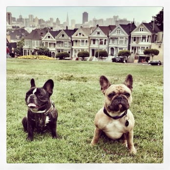 Alamo Square - Full house! - Parks Near Me - San Francisco, California