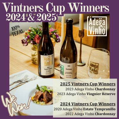 Adega Vinho Winery by null