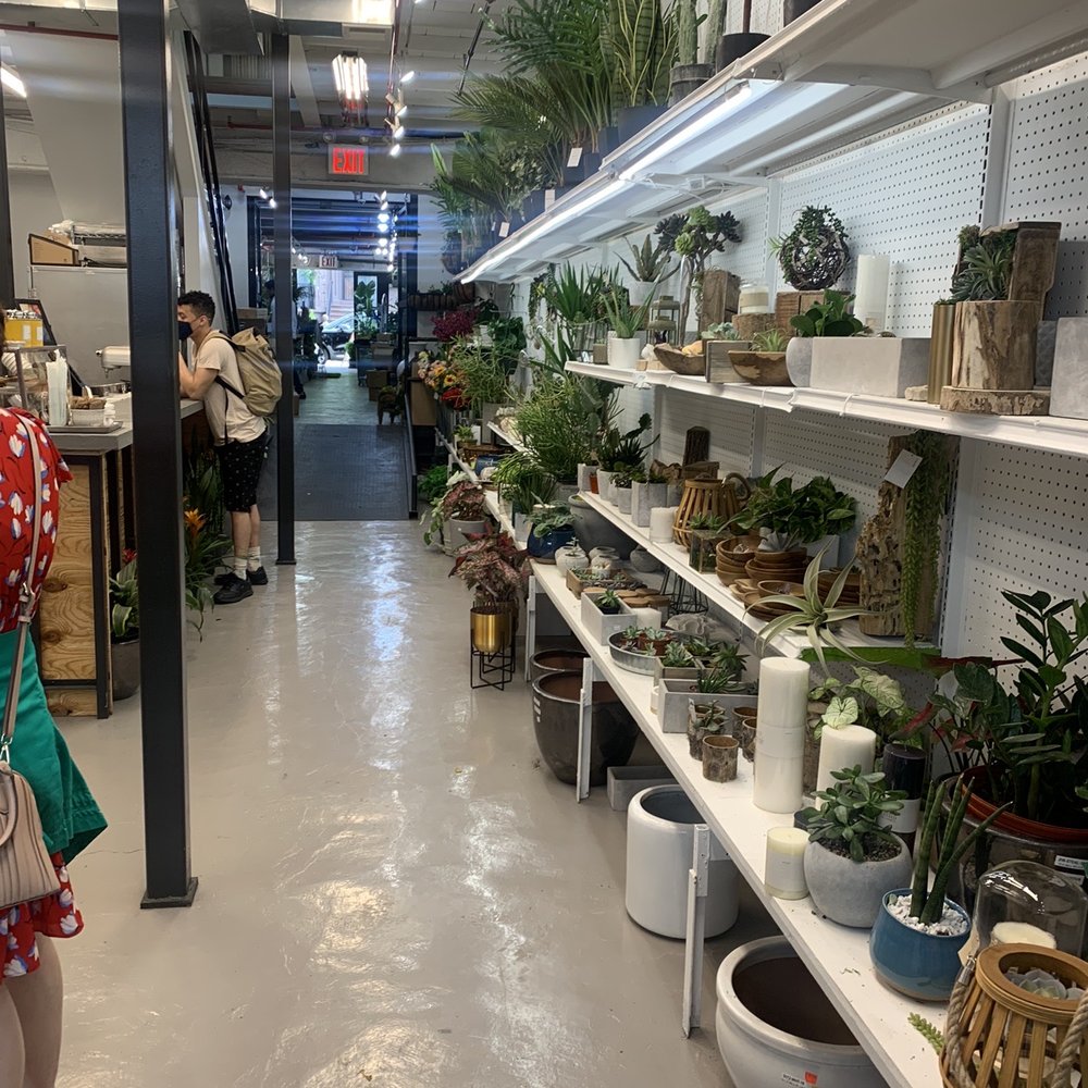9 Tails - Inside - Coffee & Tea Near Me - New York, New York