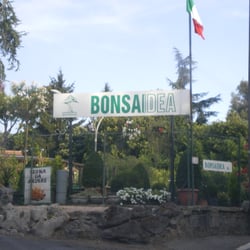 Bonsaidea