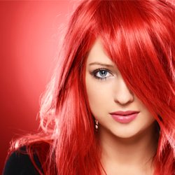 Arizona Hair Co #15 - 48th St & Warner