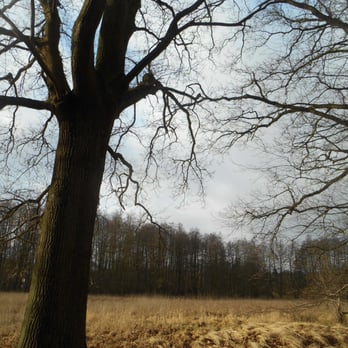 Klaubusch - Hiking Near Me - Bad Bevensen, NI