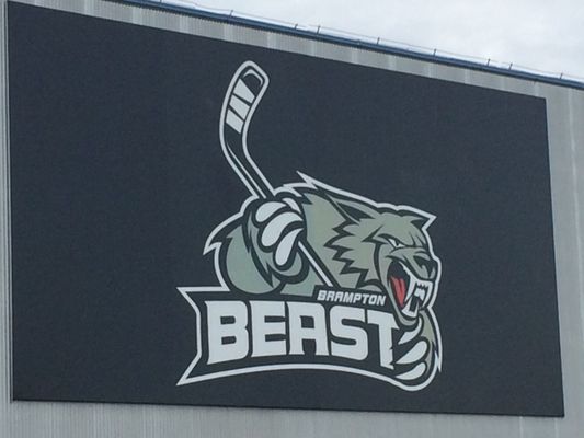 CAA Centre - Sports and Entertainment Complex by null