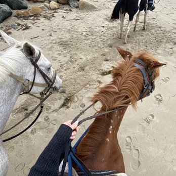Santa Barbara Beach Horseback Rides - Nayyyyyyyyyy (we were fully stopped, don't take photos and fall off your horse lol) - Tours Near Me