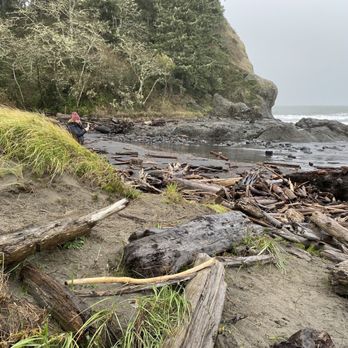 Cape Disappointment State Park - Waikiki Beach with black sand and driftwood - Parks Near Me - Ilwaco, Washington Cape Disappointment State Park - Waikiki Beach with black sand and driftwood - Parks Near Me - Ilwaco, Washington