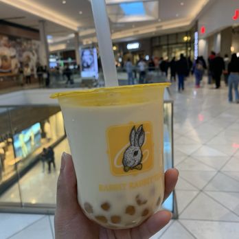 Rabbit Rabbit Tea - C. Golden Jinxuan Oolong Milk Tea - Coffee & Tea Near Me - Santa Clara, California