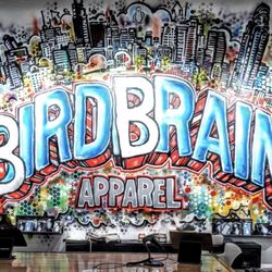 Birdbrain Apparel - In-store mural