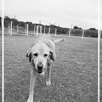 Red Barn Kennels - Pet Boarding Near Me - Bulverde, Texas