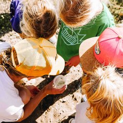 Wild Wander Forest School