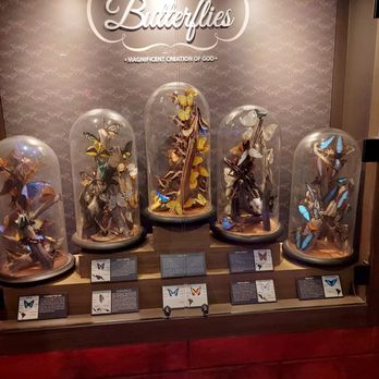 Creation Museum - Museums Near Me - Petersburg, Kentucky