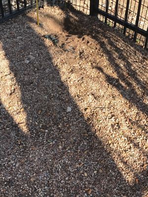 Mueller Flats Apartments