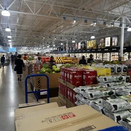 Produce section