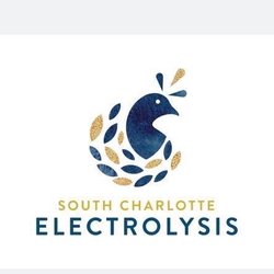 South Charlotte Electrolysis - Logo