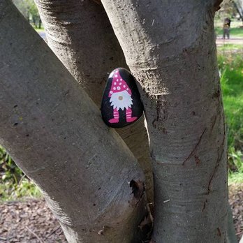 Arcade Creek Park Preserve - Sacto Cali Rocks - Rocked this park - Spreading JOY one rock at a time - Parks Near Me - Citrus Heights, California
