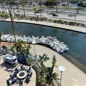 Hyatt Regency Long Beach - Swans a swimming. - Hotels Near Me - Long Beach, California Hyatt Regency Long Beach - Swans a swimming. - Hotels Near Me - Long Beach, California