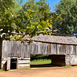 Cades Cove - Great Smoky Mountains National Park - John P Cable Drive-Thru Barn from an angle with tree