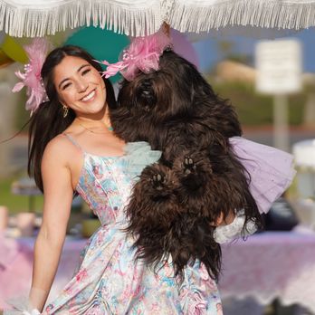 Bellingham Veterinary - Veterinarians Near Me - Bellingham, Washington