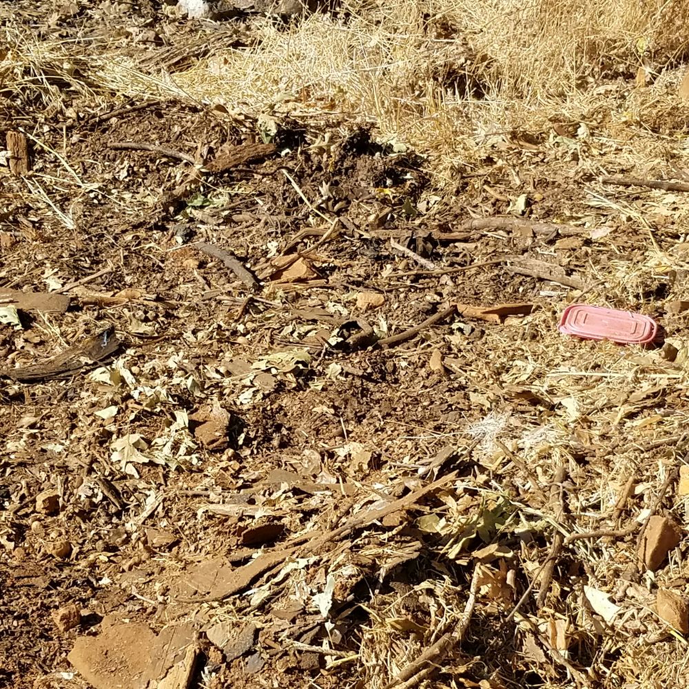Junk King Gold Country - Debri spread around, not raked to the ground and removed like we were quoted. - Junk Removal & Hauling Near Me - Grass Valley, California Junk King Gold Country - Debri spread around, not raked to the ground and removed like we were quoted. - Junk Removal & Hauling Near Me - Grass Valley, California