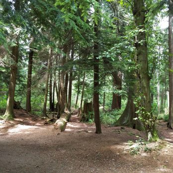 Stanley Park - Parks Near Me - Vancouver, British Columbia Stanley Park - Parks Near Me - Vancouver, British Columbia