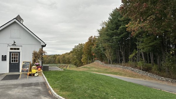 Milea Estate Vineyard by null