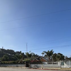 Thad's - Thads