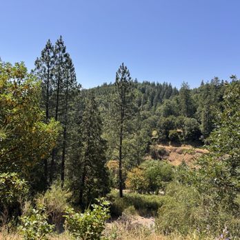 Deer Creek Tribute Trail - Great views - Hiking Near Me - Nevada City, California