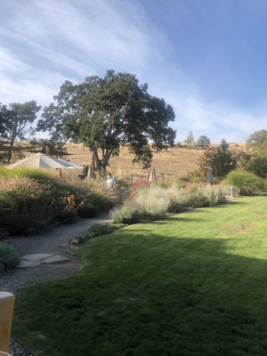 Syncline Winery by null
