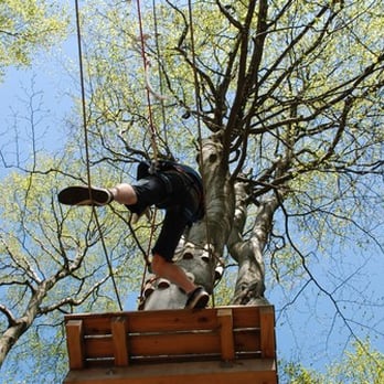 Kletterwald - Hoherodskopf - Climbing Near Me - Schotten, HE