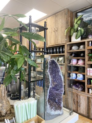 SunLife Organics by null