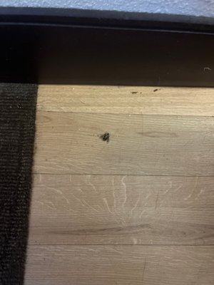 RED ROOF INN SALEM - Updated January 2025 - 12 Photos & 51 Reviews - 15