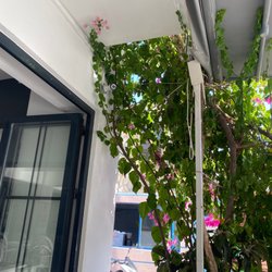 Osman's Place Gordon Restaurant