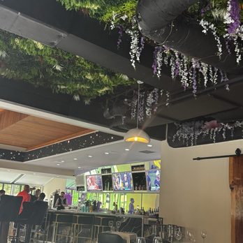 Primo's Bellevue - Inside - Asian Fusion Near Me - Bellevue, Washington Primo's Bellevue - Inside - Asian Fusion Near Me - Bellevue, Washington
