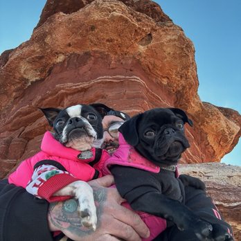 Balanced Rock - Landmarks & Historical Buildings Near Me