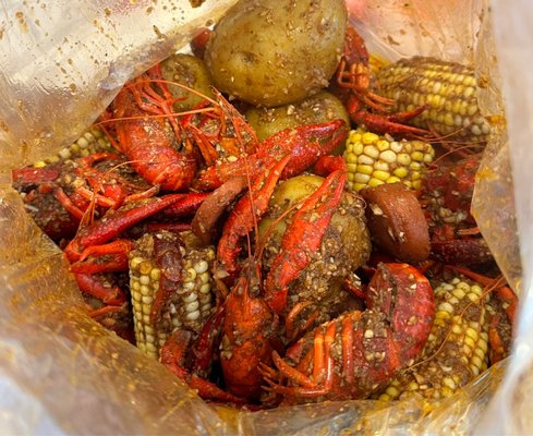 Cajun Window by null
